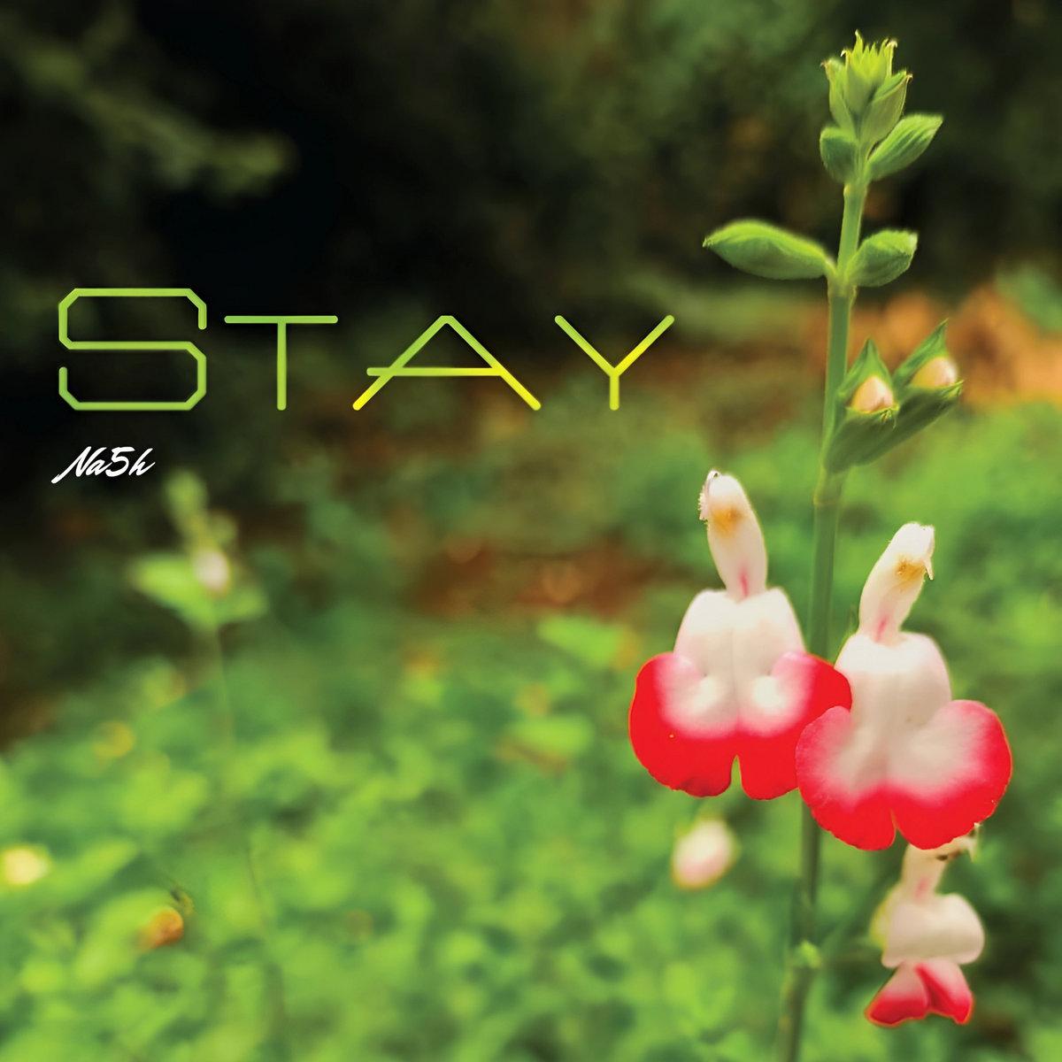 Stay cover art